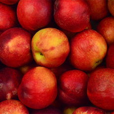 4 Simple Steps for Growing Organic Food